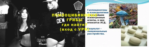 2c-b Бородино