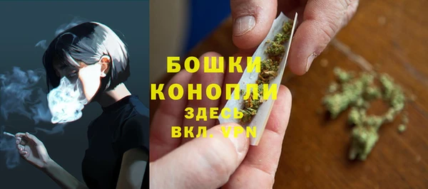 2c-b Бородино