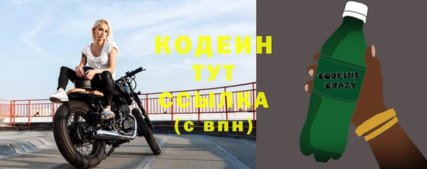 2c-b Бородино