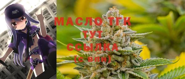 2c-b Бородино