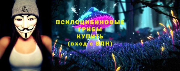 2c-b Бородино
