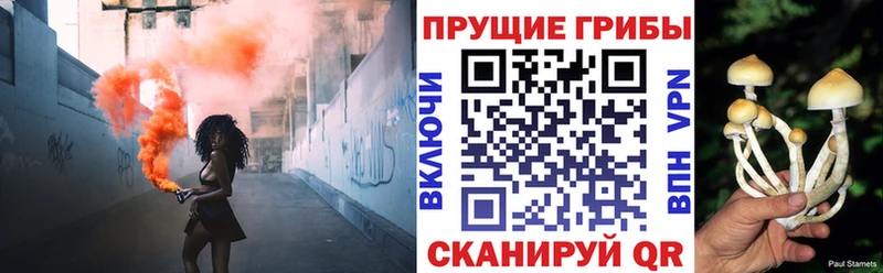Галлюциногенные грибы Magic Shrooms  Юрга 